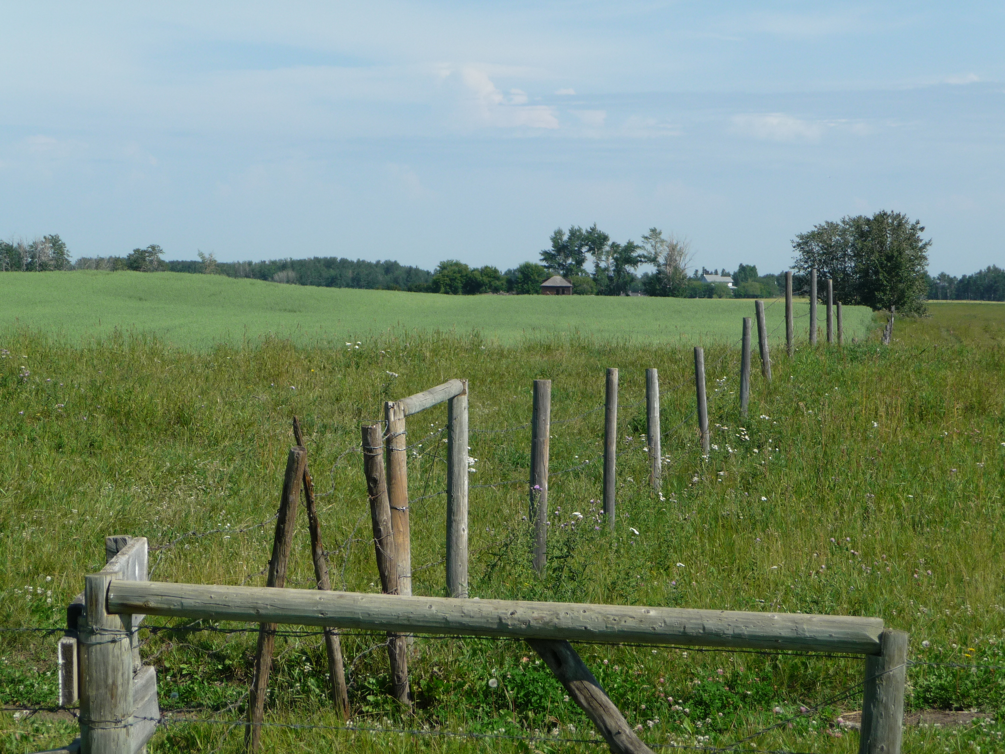 division 5 south of hwy 13 (1)